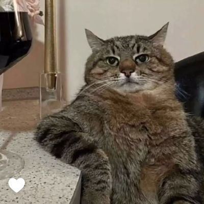 Ahm_ed40's profile picture. 