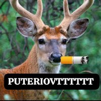 el mejor puterio de venado tuerto (@puteriovtttttt) 's Twitter Profile