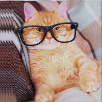 𝙲𝙾𝙵𝙵𝙴𝙴𝙿𝙴𝙰𝙽𝚄𝚃𝙱𝚄𝚃𝚃𝙴𝚁 (@coffee2peanut) Twitter profile photo