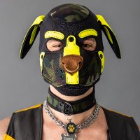 evansthepup.bsky.social (@evansthepup) 's Twitter Profile