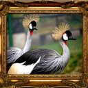 Maxwell Ward - @MaxwellWard1 - Twitter