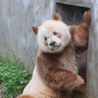 LuDi 🎄 (@tuktadrd) 's Twitter Profile