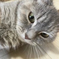 たりま姫 (@tarimahime) 's Twitter Profile Photo