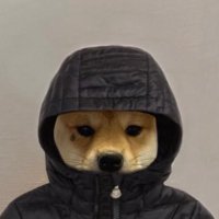 LA 🇬🇧 🇿🇼 🇧🇷🇬🇾 (@liamhodges_) 's Twitter Profile Photo LA 🇬🇧 🇿🇼 🇧🇷🇬🇾 (@liamhodges_) 's Twitter Profile Photo