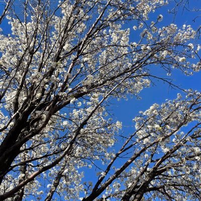 yerawizarddan's profile picture. catch a vibe before you catch these hands