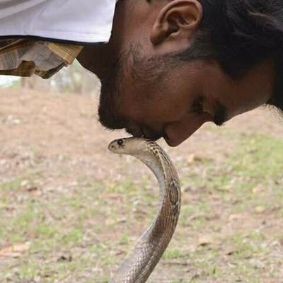 बाळासाहेबांचा कडवट शिवसैनिक असल्यामुळे
अंधभक्तांची आणी गद्दारांची रीतसर ठोकली जाते त्यामुळे
जरा अंतर ठेऊन टिप: जश्याच तसे उत्तर दिले जाईल