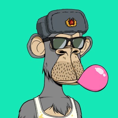 Suzie3e3e's profile picture. Adaptation :)