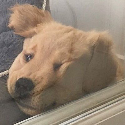 golden (slow) Profile