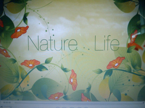 Official twitter account of Nature Life program - Trans TV.
 Email : naturelife.transtv@gmail.com
 (every Sunday, 7.30 am). Let's live in harmony with nature!