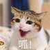 midori酒 - 不要苦涩要涩涩! (@midori_0300) Twitter profile photo midori酒 - 不要苦涩要涩涩! (@midori_0300) Twitter profile photo