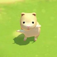 haammster (@gimmanja4) 's Twitter Profile