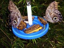 Dsjd6606's profile picture. Hi its Denae S. from Nashua, NH. I will update this randomly with quotes, links, updates n everything else!