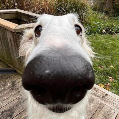 sagecloud6's profile picture. 