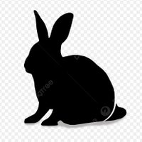 稲毛の白兎 (@inageshirousagi) 's Twitter Profile