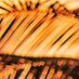 Relax (@spotbacks) Twitter profile photo Relax (@spotbacks) Twitter profile photo