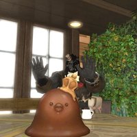 Chang Amy @Yojimbo鯖 (@changamy3) 's Twitter Profile