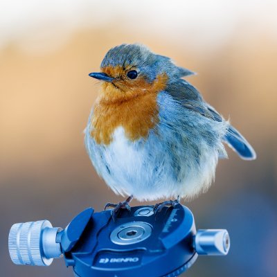 Yorkshireman, loves outdoors and Photography
https://t.co/GV4CBqmBdl
https://t.co/eiWRu72NSM