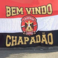 ChapaDAO 🇧🇷 (@0xchapadao) 's Twitter Profile