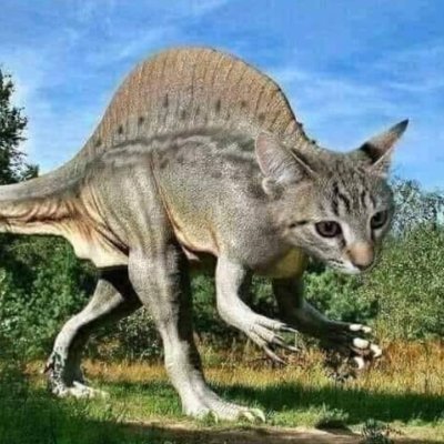 blue_amadeus's profile picture. 