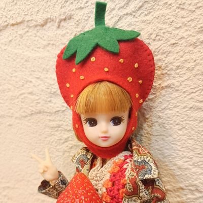 風さんファンのリカちゃんとリカちゃんパパで遊んでいます🍃
🤍手芸、ラジオ、羊、うさぎ、マンホール、九龍城寨