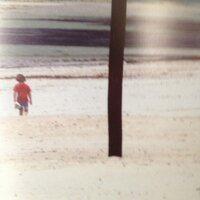 timrockell (@timrockell) 's Twitter Profile