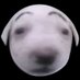 GIROK🔞🇷🇺 (@iigirokii) Twitter profile photo GIROK🔞🇷🇺 (@iigirokii) Twitter profile photo