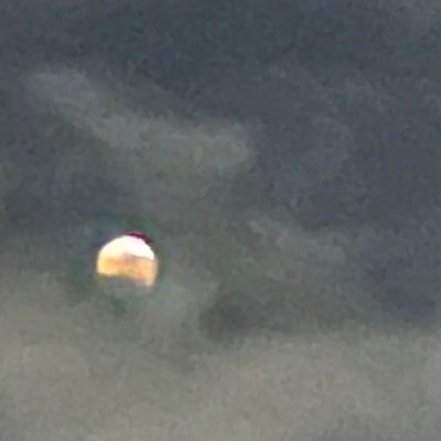 September__09__'s profile picture. 家族が抗がん剤治療中、情報収集、MGRS、M蛋白、腎障害、骨髄腫、元気。 無言フォロー失礼します。