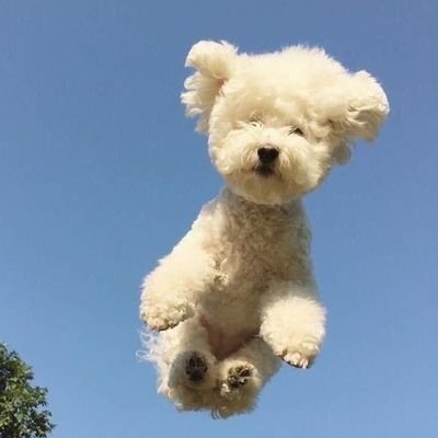 nobodyknow_24's profile picture. 🦆🐰