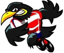 crowsrugby Profile Picture