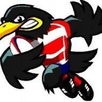 Crowborough RFC(@crowsrugby) 's Twitter Profile Photo