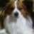 onickman's profile image