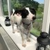 Bronte Cottages (@brontecottages) Twitter profile photo Bronte Cottages (@brontecottages) Twitter profile photo