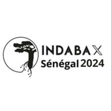 IndabaX Sénégal Profile