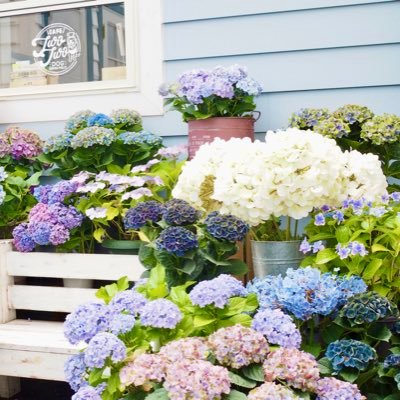 0TiWRhfeu5ODP3w's profile picture. 豊かで強い日本を子や孫に残したい🌸🌳🌸🇯🇵 🌸日本保守党を応援しています🇯🇵［移民に断固反対します］