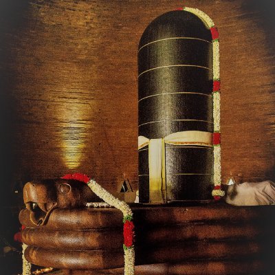 NaveenS39981474's profile picture. Shamboo..