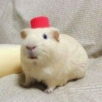 꼬순 (@blue_3colver) 's Twitter Profile Photo 꼬순 (@blue_3colver) 's Twitter Profile Photo