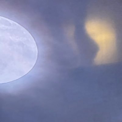 gdjvrgkx's profile picture. 