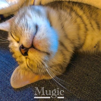 音楽の夢と期待値を追い続ける30代。楽曲提供やってます。youtubeチャンネル登録よろしくお願いします。 https://t.co/zKwBSNeDvp