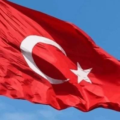 özel güvenlik görevlisi
