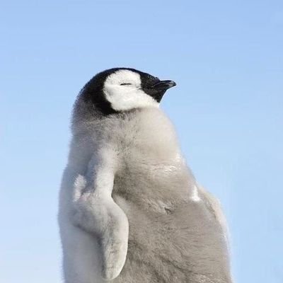 NagatukiAoi96's profile picture. こちらのアカウントはピクシブ、ツイッター企画用となります。
フォローする人も基本企画に参加してる人メインとなります。