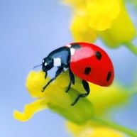 xRtzsRs8k2YxKZD's profile picture. 子供の為に頑張ろう、と仕事してます。他に時事、趣味、面白ネタ等に反応しています。