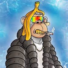 NICOLAISqj's profile picture. 