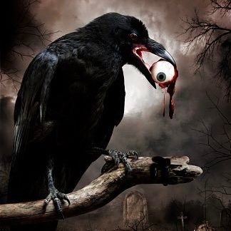 imJackHall's profile picture. rebranding