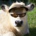 Santi (@santo0pan) Twitter profile photo Santi (@santo0pan) Twitter profile photo