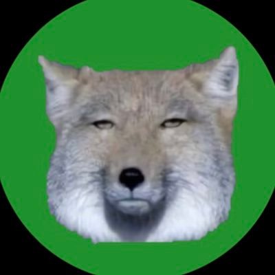 電気💡 ̖́-さんのプロフィール画像