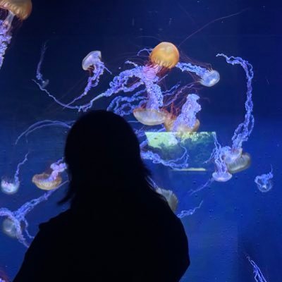 rosemarietecson's profile picture. 🪼