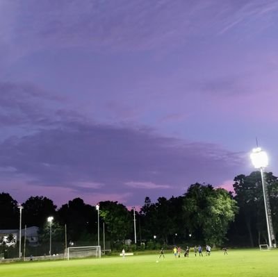 ShayD50057's profile picture. 