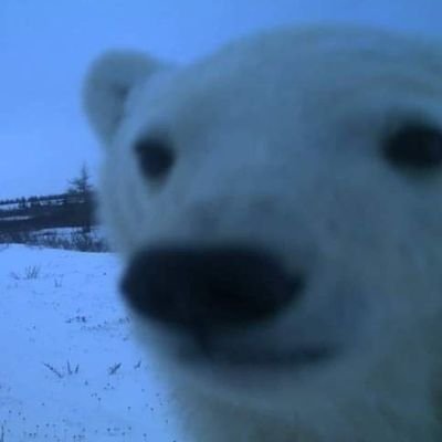 Mimimoomoo_8's profile picture. 