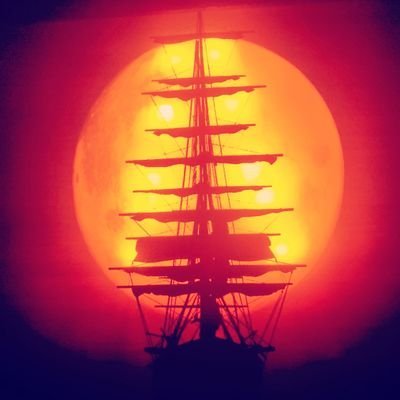BeaMacias's profile picture. 