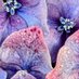 Science Department of Kinross High School (@sci_kinrosshs) Twitter profile photo Science Department of Kinross High School (@sci_kinrosshs) Twitter profile photo